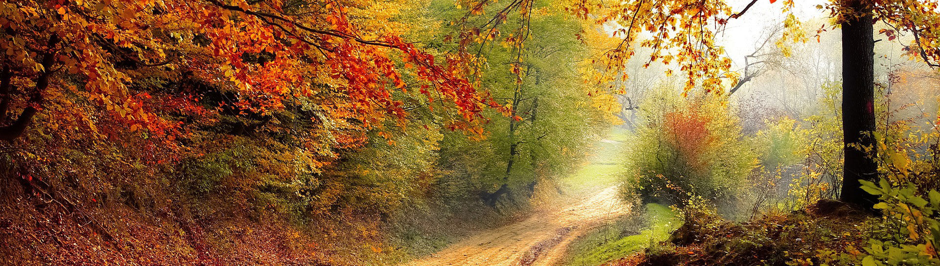 Erleben Sie den Herbst im Fellhornhaus